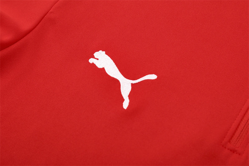 Portugal 2025/26 Tracksuit Red 1/4 Zip